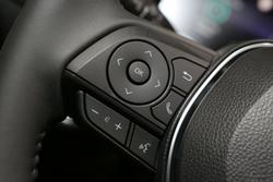 2024 Toyota RAV4 Cruiser