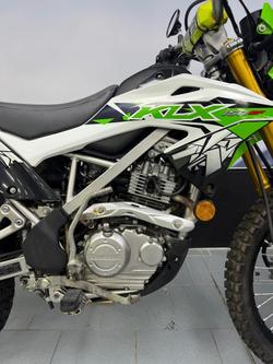 2020 Kawasaki KLX150BF (KLX150F) KLX Green