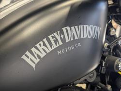 2013 Harley-Davidson Iron 883 (XL883N) Sportster Black