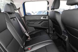 2025 GWM Cannon Premium