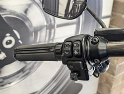 2017 Harley-Davidson CVO Pro Street Breakout (FXSE) CVO Black