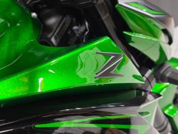 2025 Kawasaki Z1000 Grey