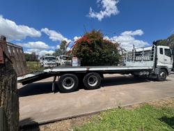 2003 Mitsubishi Fv 500 WHITE