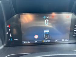 2025 Ford Ranger Wildtrak