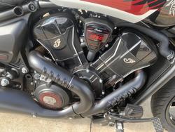 2025 Indian SCOUT 101 White