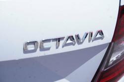 2019 SKODA Octavia RS 245