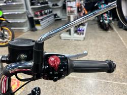 2025 Royal Enfield GOAN 350 RED