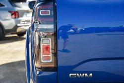 2021 GWM Ute Cannon-X