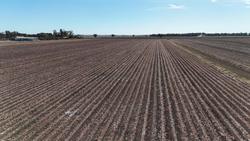 0 SERAFIN ULTISOW STPL ROW CROP SINGLE DISC SEEDER YELLOW