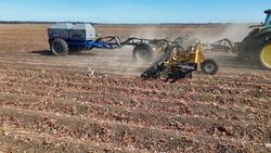 0 SERAFIN ULTISOW STPL ROW CROP SINGLE DISC SEEDER YELLOW