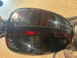 2019 Harley-Davidson Street 500 (XG500) Street Black