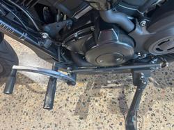 2019 Harley-Davidson Street 500 (XG500) Street Black