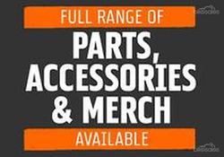 2019 Harley-Davidson Street 500 (XG500) Street Black