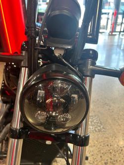 2019 Harley-Davidson Street 500 (XG500) Street Black