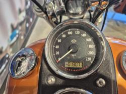 2015 Harley-Davidson Dyna Low Rider 103 (FXDL) Dyna Orange