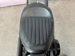 2018 Harley-davidson FLSL SOFTAIL SLIM Industrial Gray Denim