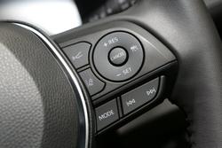 2024 Toyota RAV4 Cruiser