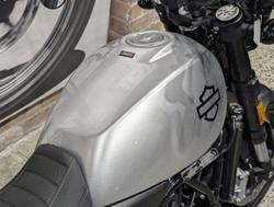 2024 Harley-Davidson X 500 X Silver