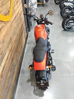 2024 Harley-Davidson X 500 X Orange