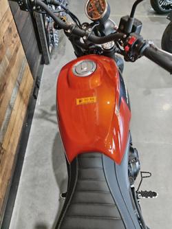 2024 Harley-Davidson X 500 X Orange