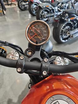 2024 Harley-Davidson X 500 X Orange