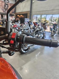 2024 Harley-Davidson X 500 X Orange