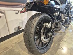 2024 Harley-Davidson X 500 X Black