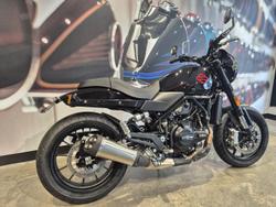 2024 Harley-Davidson X 500 X Black