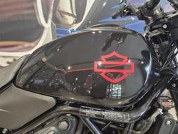 2024 Harley-Davidson X 500 X Black