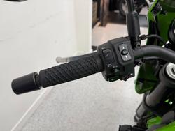 2018 Kawasaki Z900RS CAFE Green