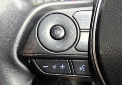 2021 Toyota RAV4 Cruiser