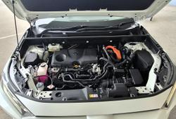 2021 Toyota RAV4 Cruiser