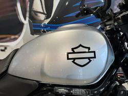 2024 Harley-Davidson X 500 X Silver