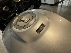 2024 Harley-Davidson X 500 X Silver