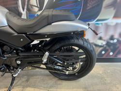 2024 Harley-Davidson X 500 X Silver