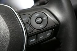 2024 Toyota RAV4 Cruiser