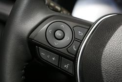 2024 Toyota RAV4 Cruiser