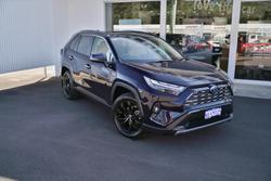 2021 Toyota RAV4 Cruiser