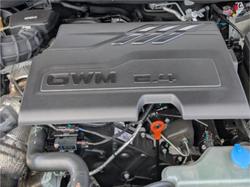 2025 GWM CANNON ULTRA (4x4)