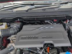 2025 GWM CANNON ULTRA (4x4)