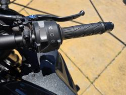 2025 Kawasaki 2025 NINJA 1100SX Black