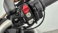 2021 Ducati Multistrada 950 S Multistrada White