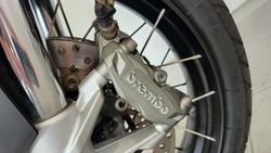 2021 Ducati Multistrada 950 S Multistrada White