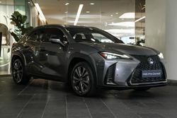 2019 Lexus
                UX 200 F Sport