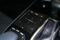 2019 Lexus
                UX 200 F Sport