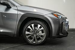 2019 Lexus
                UX 200 F Sport
