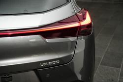 2019 Lexus
                UX 200 F Sport
