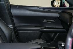 2019 Lexus
                UX 200 F Sport
