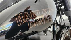 2020 Harley-Davidson Low Rider S 114 (FXLRS) Softail Black