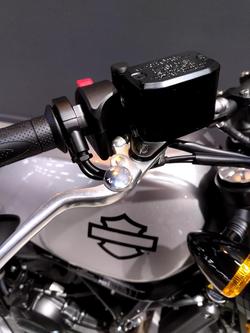 2024 Harley-Davidson X 500 X Silver